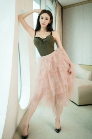 公府小娇媳明月落枝